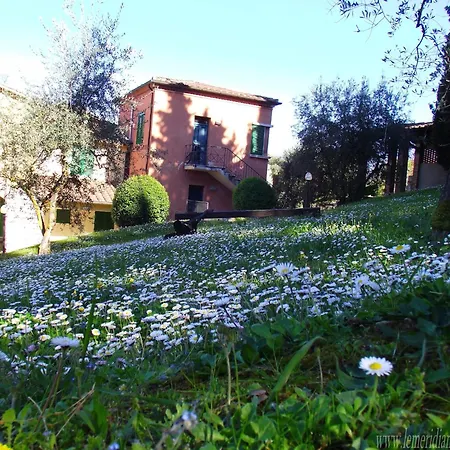 Ferienhaus Comfortable Mansion In With Swimming Pool Siena